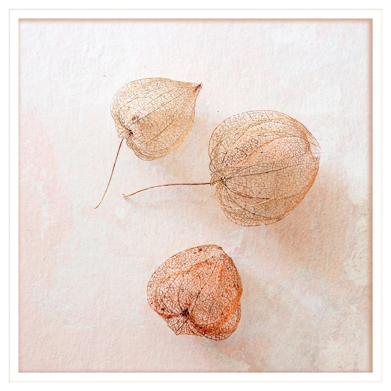 Combining passions colour