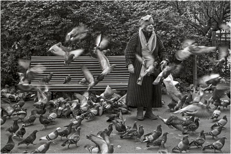 Femme aux pigeons