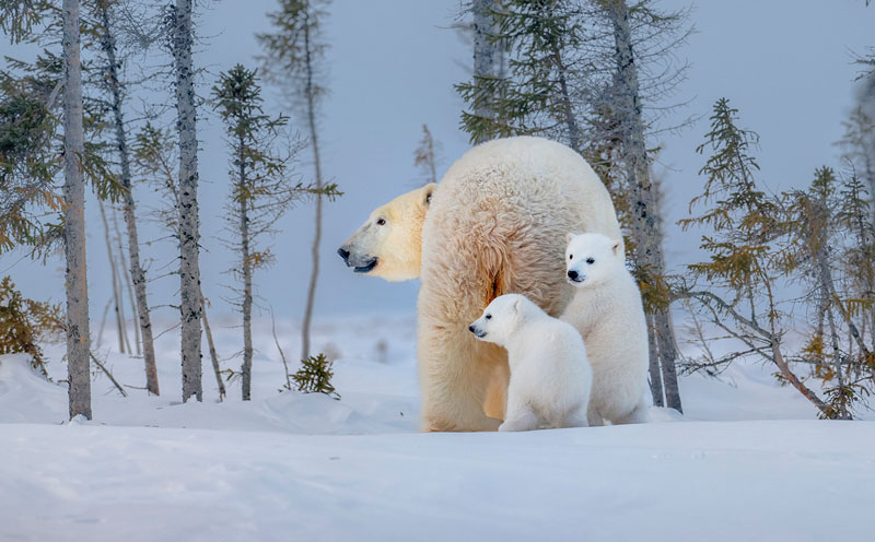 Picture of mother and kid 3_7_