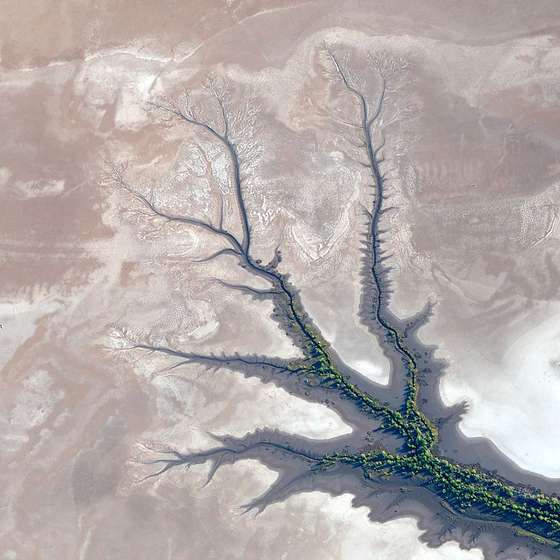 Patterns in the sand