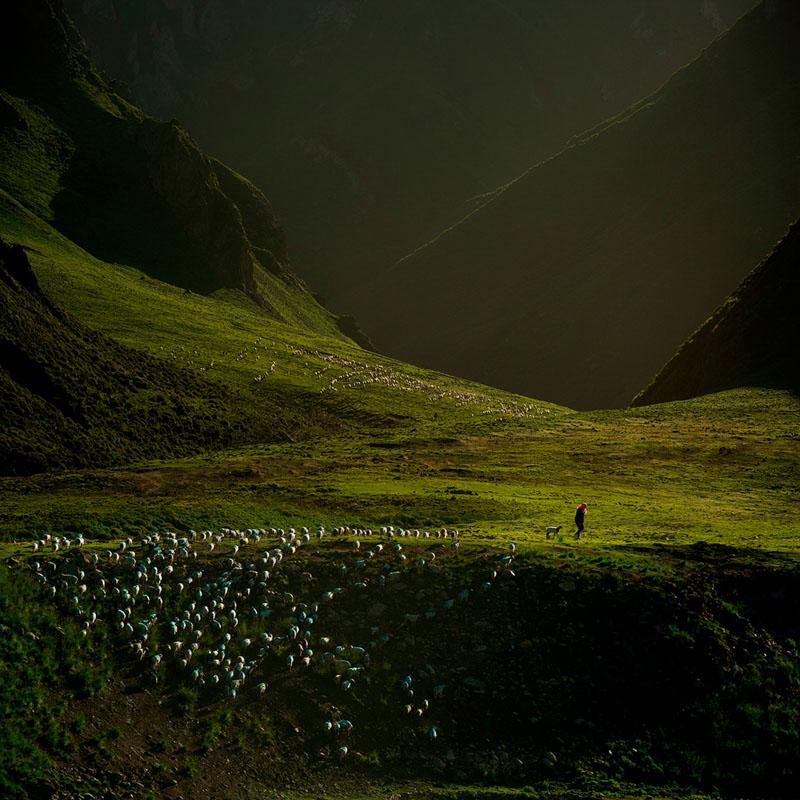 Intermountain pasture