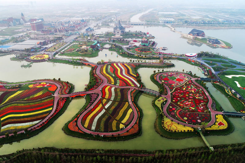 Blossoms in water town