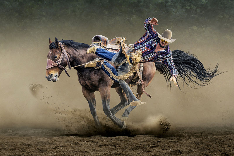 Saddle bronc riding
