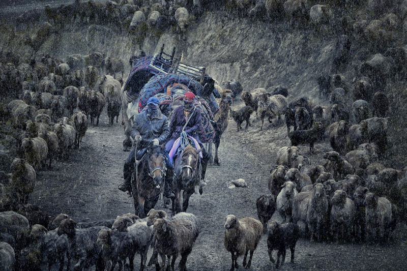 Journey against wind and rain