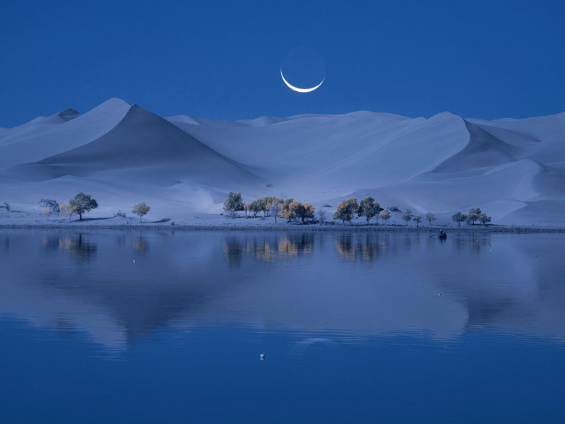 Continents of the desert