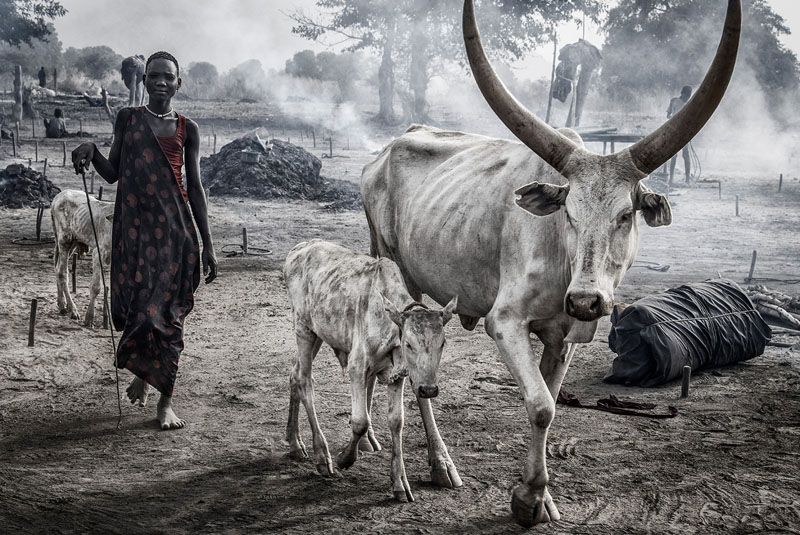 Woman in a cattle camp
