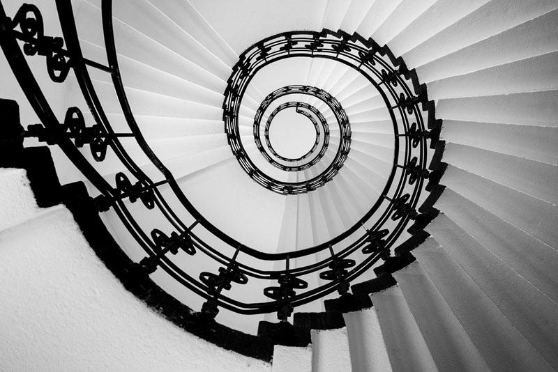 Beauty in black and white