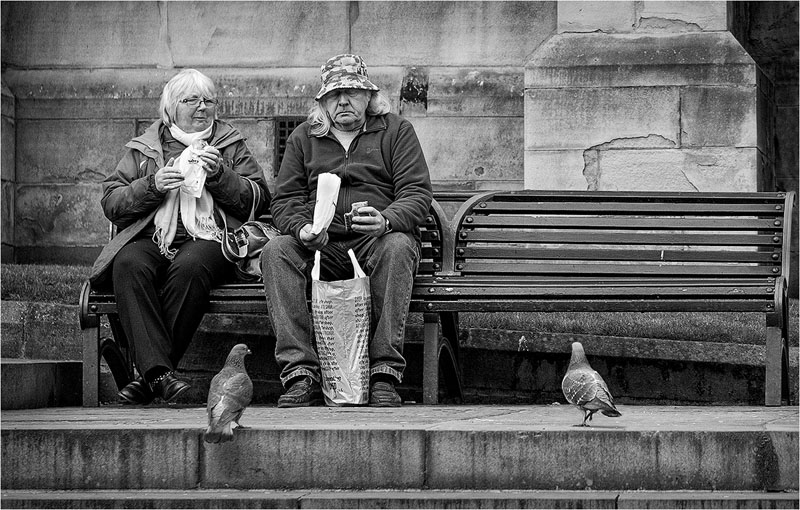 Moving in for crumbs