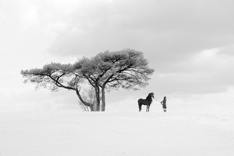 Silhouette horse owner