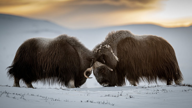Discussion avec son ado