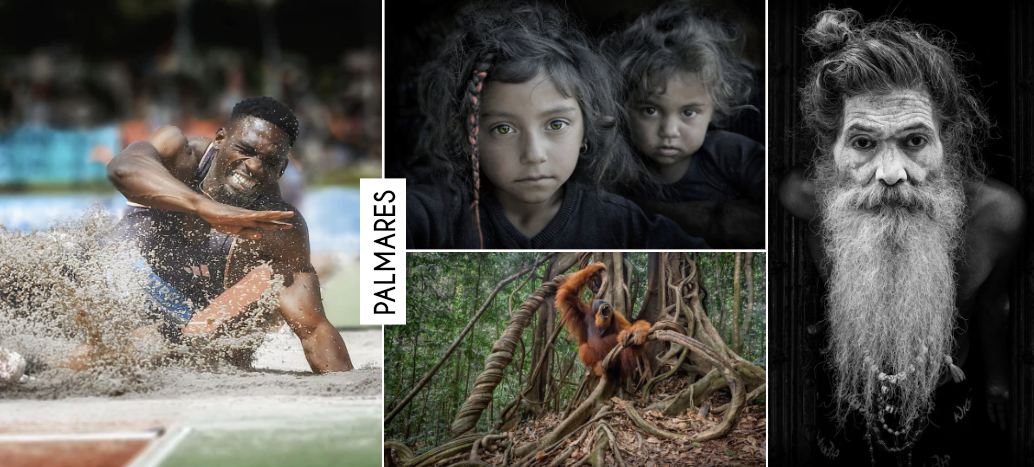 Le palmares 2025, salon par salon